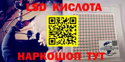 ГАЛЛЮЦИНОГЕННЫЕ ГРИБЫ Вязьма